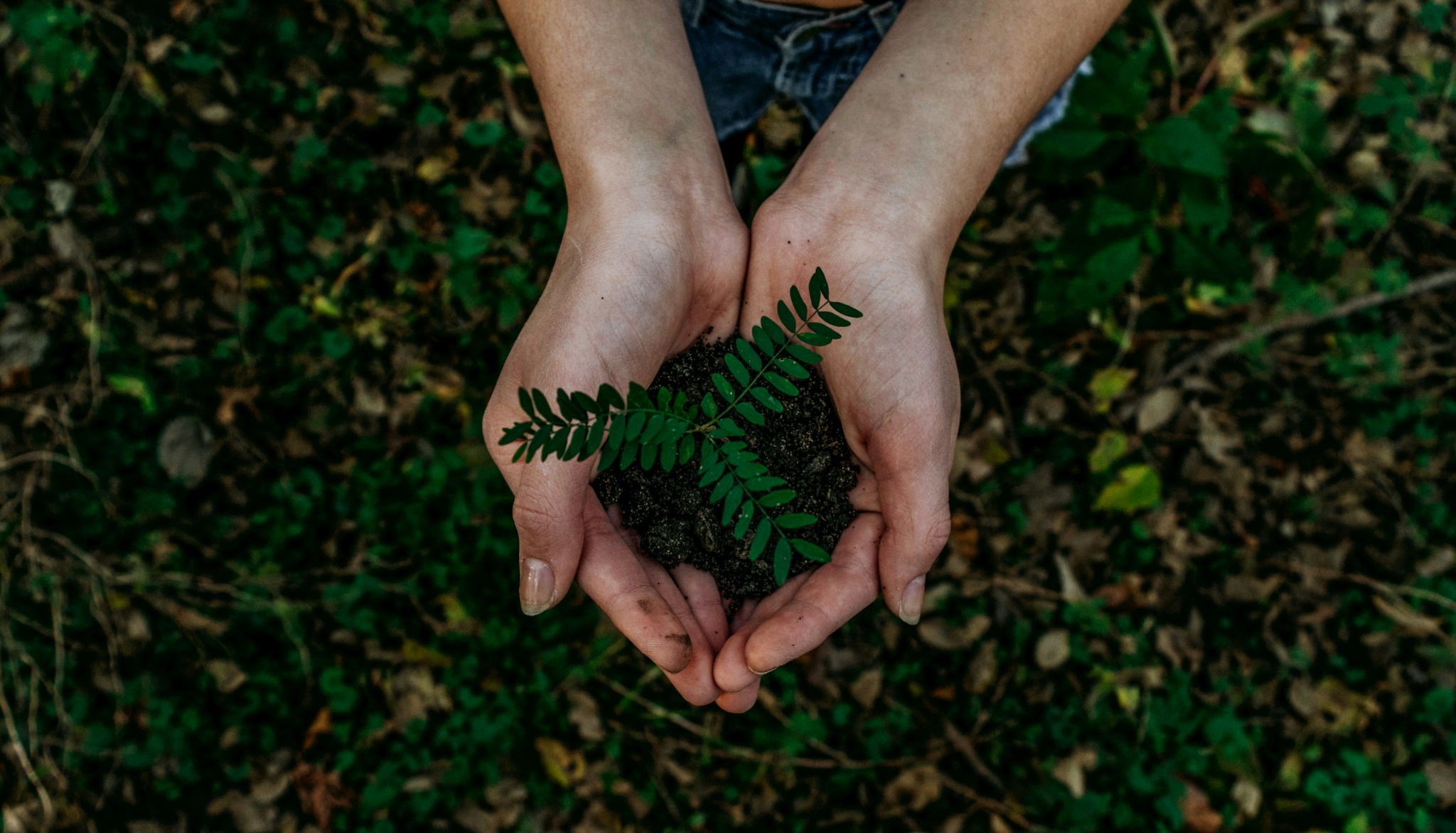 Buying Recycled Products: Procurement, Recycled Content and Closing the Loop